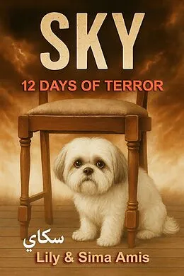 E-Book (epub) Sky, 12 Days of Terror von Lily Amis