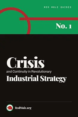 E-Book (epub) Crisis and Continuity in Revolutionary Industrial Strategy von Red Mole Substack, Tony Cliff, Terry Conway