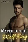 E-Book (epub) Mated to the Wolf King von J. B. Black