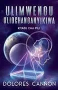 Kartonierter Einband Ulimwengu uliochanganyikiwa, Kitabu cha Pili von Dolores Cannon