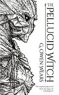 E-Book (epub) The Pellucid Witch von G. Owen Wears