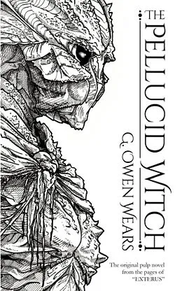 E-Book (epub) The Pellucid Witch von G. Owen Wears