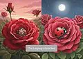 E-Book (epub) The Ladybug's Petal Bed von Anil Kumar