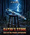 E-Book (epub) David's Stool von Pm Coston
