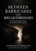 E-Book (epub) Between Barricades and Breakthroughs von Schilling