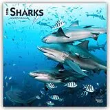Kalender Sharks  Haie 2026  16-Monatskalender von Browntrout Publishers