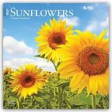 Kalender Sunflowers  Sonnenblumen 2027  16-Monatskalender von Browntrout Publishers