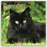 Kalender Black Cats  Schwarze Katzen 2027  16-Monatskalender von Browntrout Publishers