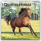 Kalender Quarter Horses  Quarter Horse 2027  16-Monatskalender von Browntrout Publishers