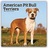 Kalender American Pit Bull Terriers 2027  16-Monatskalender von Browntrout Publishers