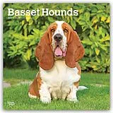Kalender Basset Hounds 2027  16-Monatskalender von Browntrout Publishers