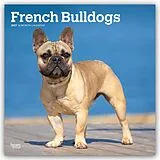 Kalender French Bulldogs  Französische Bulldogge 2027  16-Monatskalender von Browntrout Publishers