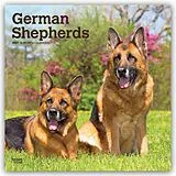 Kalender German Shepherds  Deutsche Schäferhunde 2027  16-Monatskalender von Browntrout Publishers