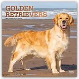 Kalender Golden Retrievers  Golden Retriever 2027  16-Monatskalender von Browntrout Publishers