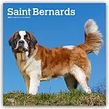 Kalender Saint Bernards  Bernhardiner 2027  16-Monatskalender von Browntrout Publishers