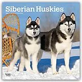 Kalender Siberian Huskies  Siberian Husky 2027  16-Monatskalender von Browntrout Publishers