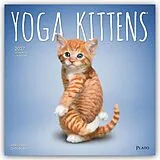 Kalender Yoga Kittens  Kätzchen Yoga 2027  16-Monatskalender von Browntrout Publishers