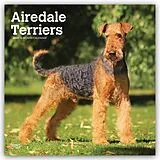 Kalender Airedale Terrier 2027  16-Monatskalender von Browntrout Publishers