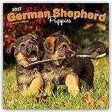 Kalender German Shepherd Puppies  Deutsche Schäferhund Welpen 2027  16-Monatskalender von Browntrout Publishers