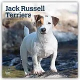 Kalender Jack Russel Terriers  Jack Russel Terrier 2027  16-Monatskalender von Browntrout Publishers