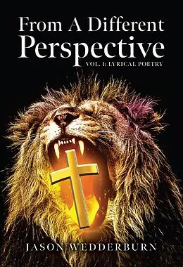 E-Book (epub) From A Different Perspective von Jason Wedderburn