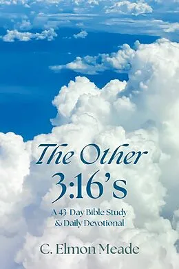 E-Book (epub) The Other 3:16's von C. Elmon Meade