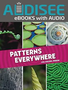 E-Book (epub) Patterns Everywhere von Lisa Varchol Perron