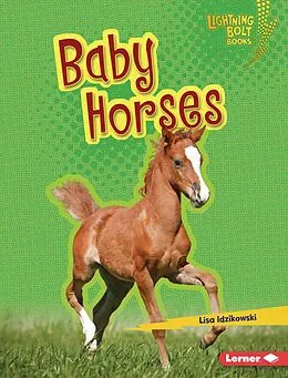 E-Book (epub) Baby Horses von Lisa Idzikowski