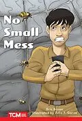 E-Book (epub) No Small Mess von Eric Braun