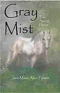 E-Book (epub) Gray Mist von Jane Marie Allen Farmer