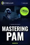 E-Book (epub) Mastering PAM von Cybellium