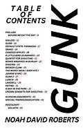 E-Book (epub) GUNK von Noah David Roberts