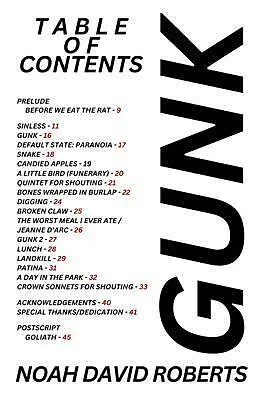 E-Book (epub) GUNK von Noah David Roberts