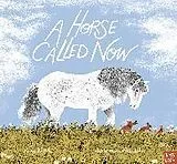Fester Einband A Horse Called Now von Ruth Doyle