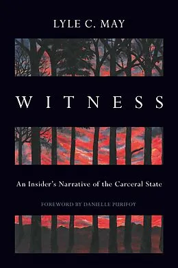 E-Book (epub) Witness von Lyle C. May
