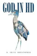 E-Book (epub) GOD IN HD von D. Shane Christopher