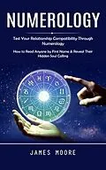 E-Book (epub) Numerology von James Moore