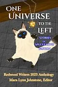 E-Book (epub) One Universe to the Left von Redwood Writers