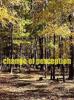 E-Book (epub) Change of Perception von Gabriele Hauser