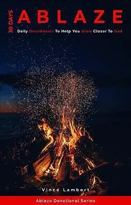 E-Book (epub) 30 Days Ablaze von Vince Lambert