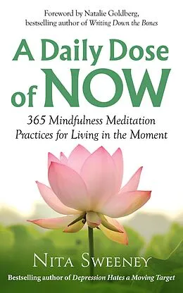 E-Book (epub) Daily Dose of Now: 365 Mindfulness Meditation Practices for Living in the Moment von Nita Sweeney