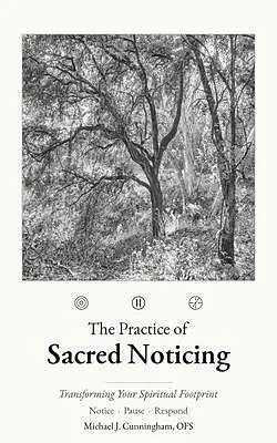 E-Book (epub) The Practice of Sacred Noticing von Michael J Cunningham