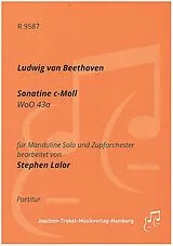 Ludwig van Beethoven Notenblätter Sonatine c-Moll WoO43a