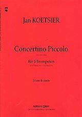 Jan Koetsier Notenblätter Concertino piccolo op.101