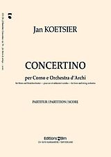 Jan Koetsier Notenblätter CONCERTINO OP.74 PER CORNO E