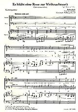 Robert Stolz Notenblätter Es blüht eine Rose zur Weihnachtszeit