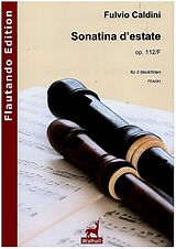 Fulvio Caldini Notenblätter Sonatina destate op.112f für