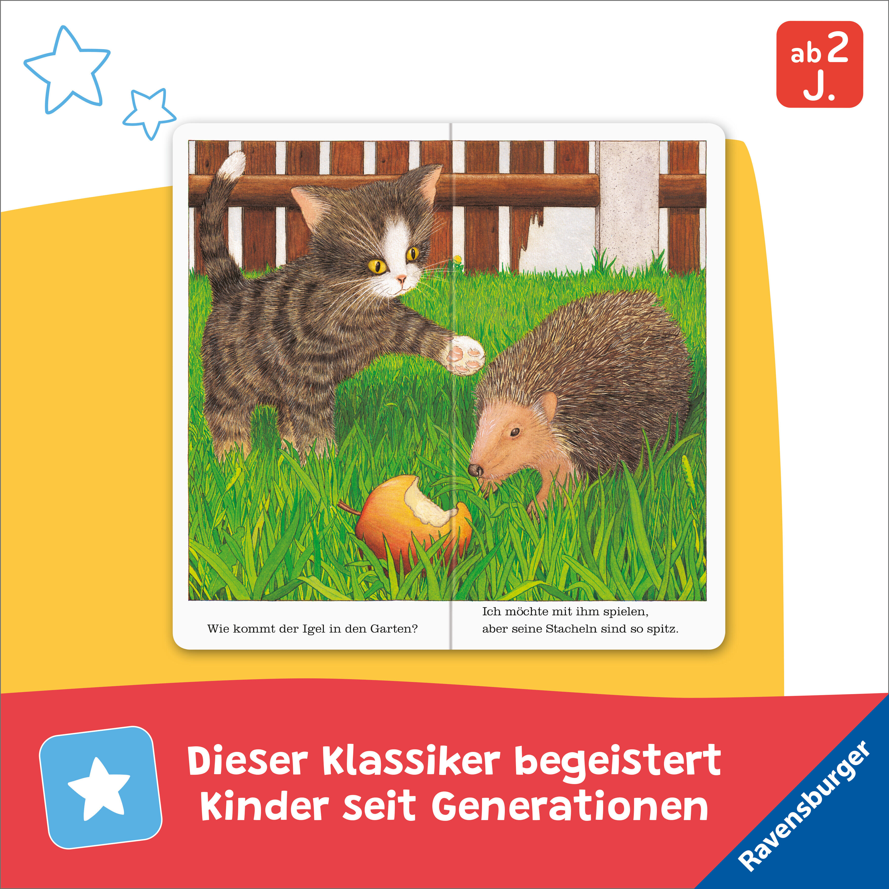 Ich bin die kleine Katze