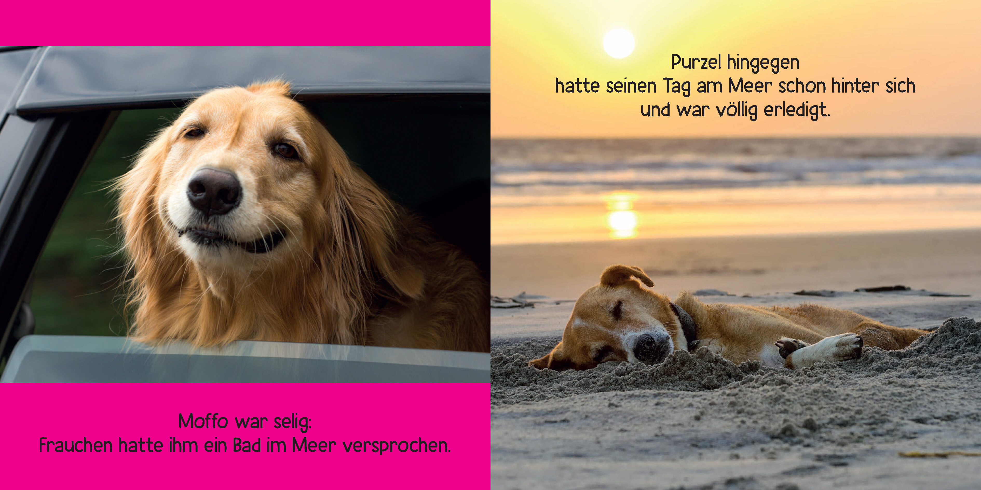 Mein Hund ist voll bekloppt