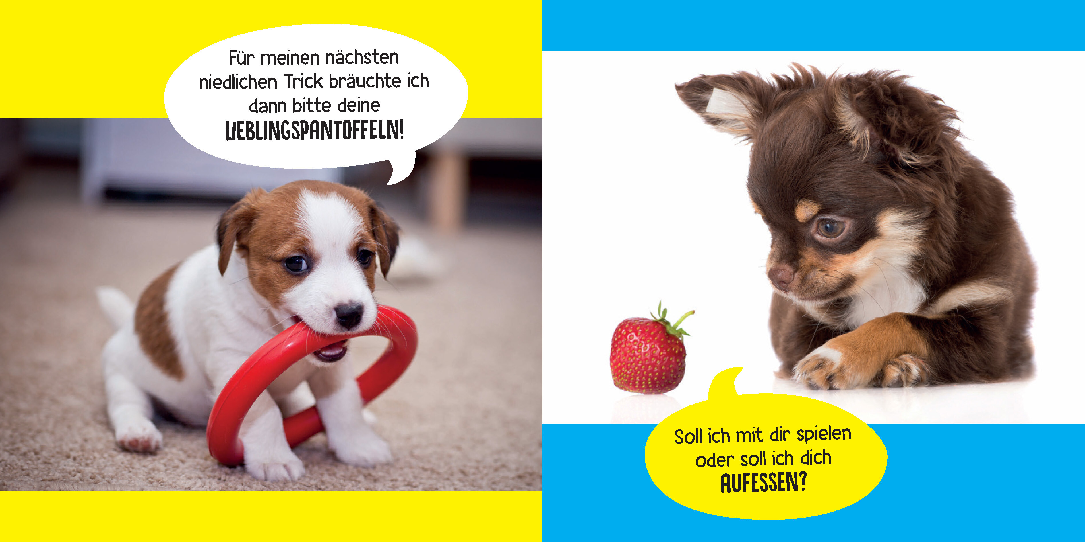 Mein Hund ist voll bekloppt